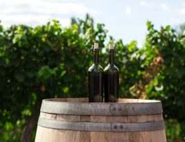 Canadian Oak Barrels: A Distinctive Choice for Winemakers